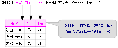 SELECT̎s