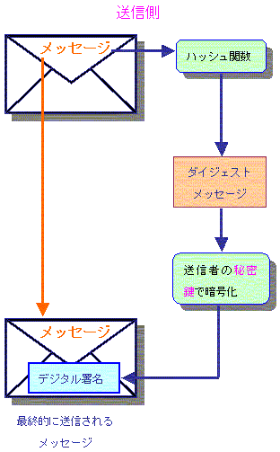 VXAhfW^ɂ鑗M̏